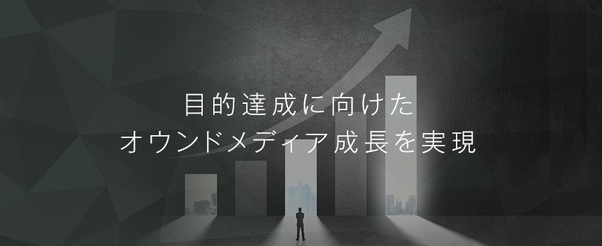 オウンドメディア支援:運用特化型プラン